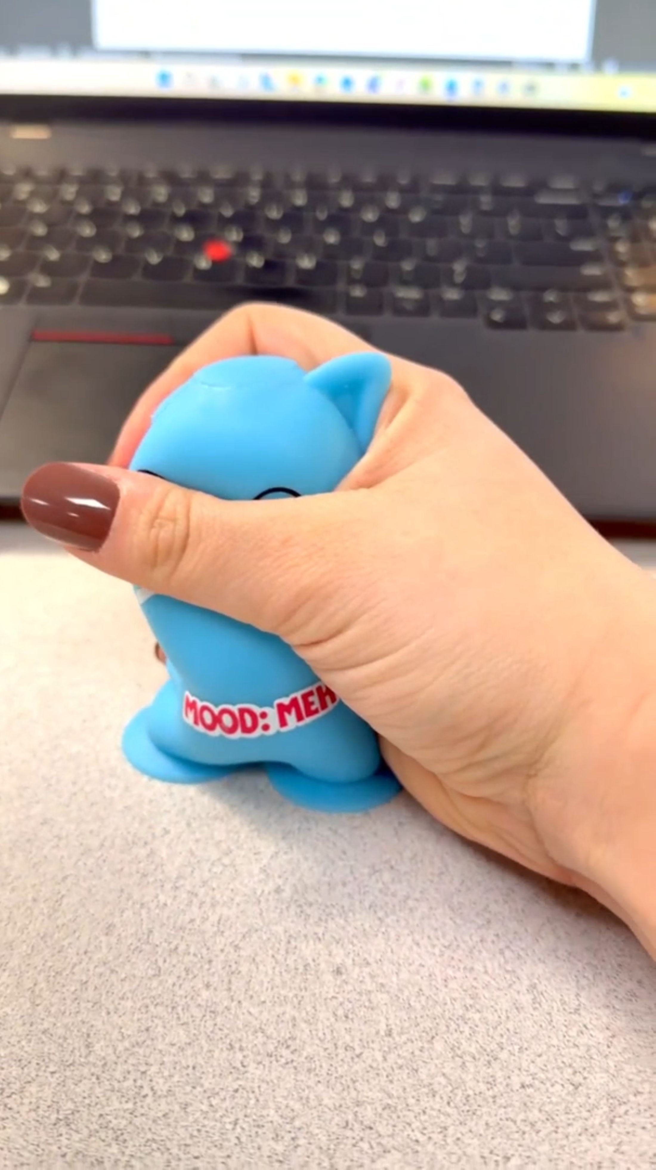 Emotional Support Suction Squishy – Sensory Stress Relief Fidget Toy for Kids, Teens & Adults